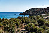 The famous palm beach at Vai, Eastern Crete 